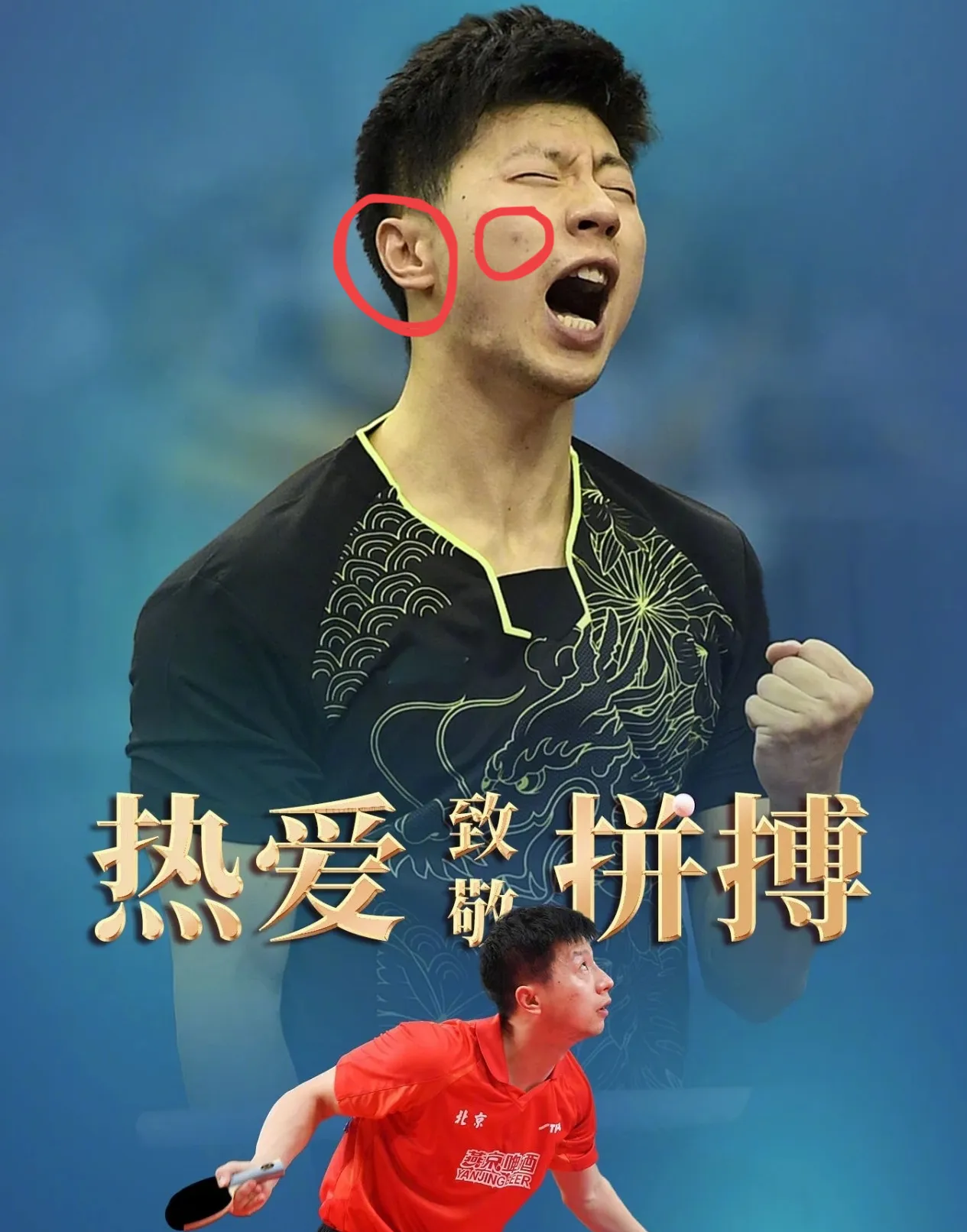 关于比利时乒乓球队绝地反击瑞典乒乓球队，马龙爆发神勇的信息