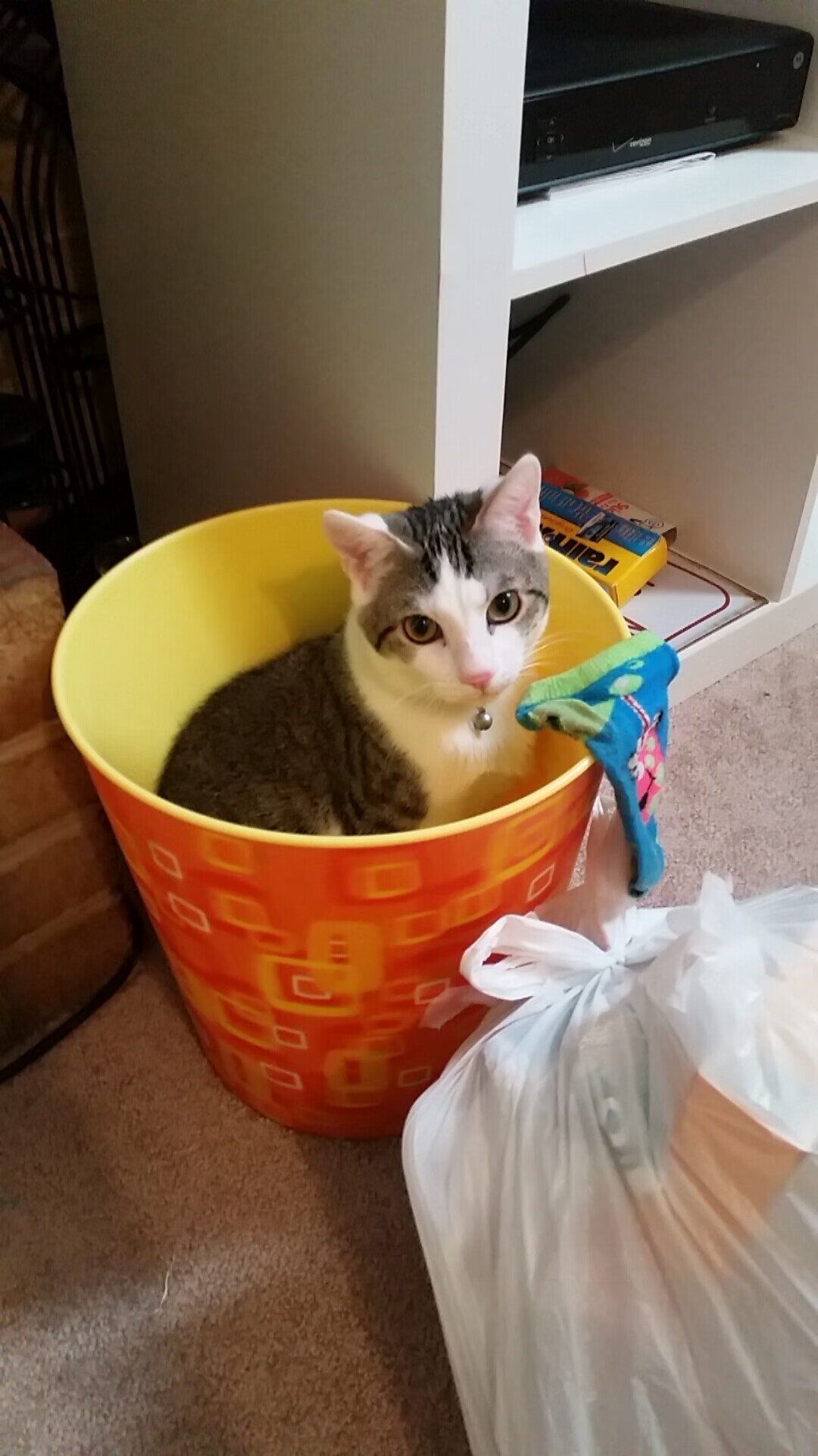 英超争冠之夜,锡安展现巨星价值,新王当立,传奇诞生